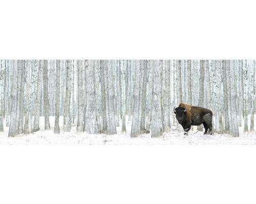Leinwandbild Winter Bison 50x150 cm