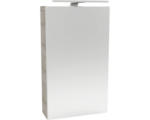 Hornbach LED-Spiegelschrank Fackelmann Small Bathroom Collection 1-türig rechts 40x68x16,2 cm graueiche