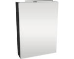 Hornbach LED-Spiegelschrank Fackelmann Small Bathroom Collection 1-türig links 50x68x16,2 cm anthrazit