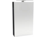 Hornbach LED-Spiegelschrank Fackelmann Small Bathroom Collection 1-türig links 40x68x16,2 cm anthrazit