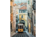 Hornbach Leinwandbild Lissabon Tram 80x116 cm