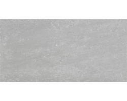 Feinsteinzeug Bodenfliese Jelling 30x60 cm silber matt