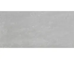 Feinsteinzeug Bodenfliese Jelling 30x60 cm silber matt