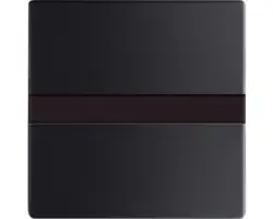 Bedienelement Future Linear (64765-885) schwarz