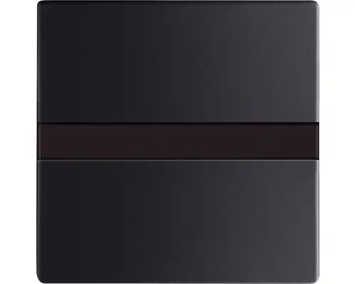 Bedienelement Future Linear (64765-885) schwarz