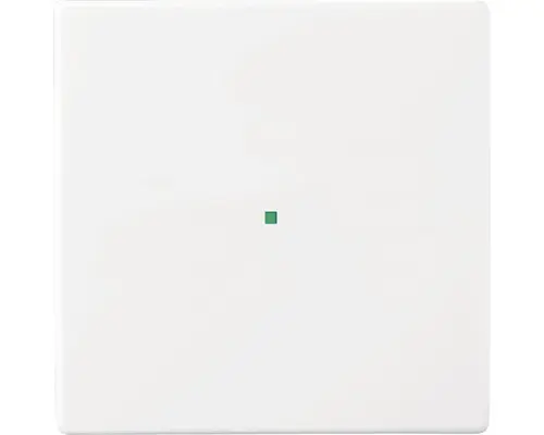 Tasterwippe Future Linear 1-fach (6230-10-84) studioweiß