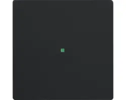 Tasterwippe Future Linear 1-fach (6230-10-885) schwarz