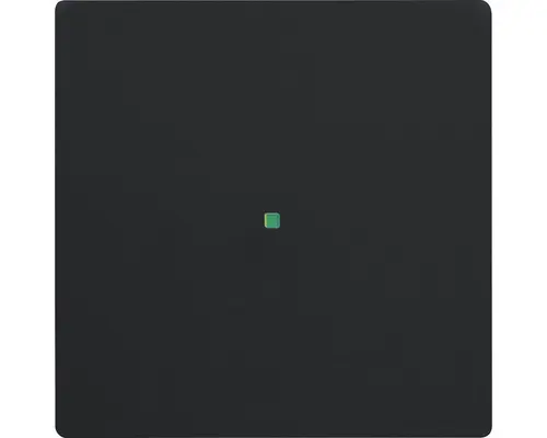 Tasterwippe Future Linear 1-fach (6230-10-885) schwarz