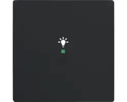 Wippe mit Symbol Licht Future Linear 1-fach (6231-10-885) schwarz