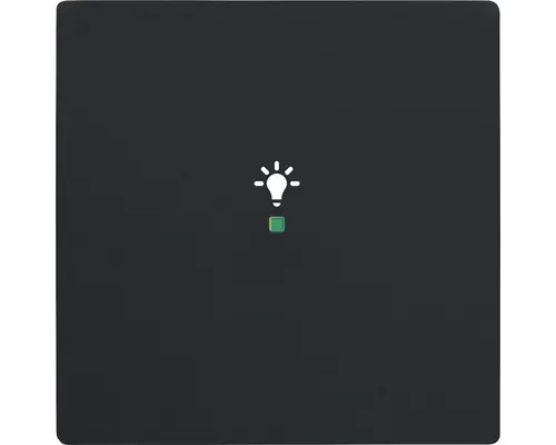 Wippe mit Symbol Licht Future Linear 1-fach (6231-10-885) schwarz