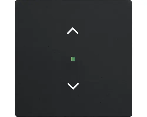 Wippe mit Symbol Jalousie Future Linear 1-fach (6232-10-885) schwarz