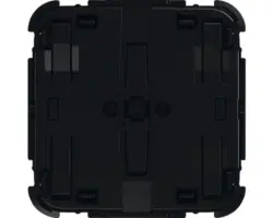 Bedienelement flex 2-fach (62721-WL) schwarz