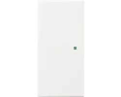 Tasterwippe flex Future Linear 2-fach (6230-20-84) studioweiß