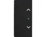 Hornbach Wippe mit Symbol Jalousie Future Linear 2-fach (6232-20-885) schwarz