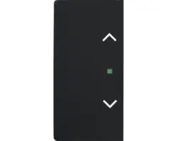 Wippe mit Symbol Jalousie Future Linear 2-fach (6232-20-885) schwarz