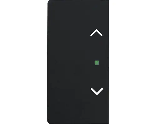 Wippe mit Symbol Jalousie Future Linear 2-fach (6232-20-885) schwarz