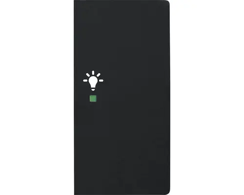 Wippe mit Symbol Licht Future Linear 2-fach (6231-22-885) schwarz