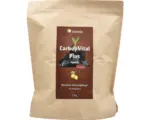 Hornbach Spezialdünger Biohelp CarbonVital Plus für Zitruspflanzen 2 kg