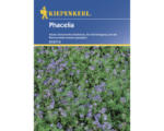 Hornbach Gründünger Kiepenkerl Phacelia 50 g