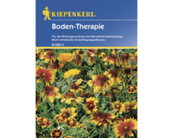 Gründünger Kiepenkerl Boden-Therapie Blumen-Mix 10 g