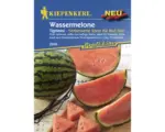 Hornbach Gemüsesamen Kiepenkerl Wassermelone 'Tigrimini F1'