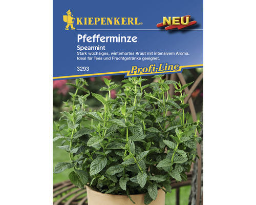 Kräutersamen Kiepenkerl Pfefferminze 'Spearmint'