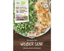 Grünsprossen Sperli Microgreens Weißer Senf