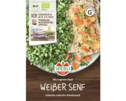 Grünsprossen Sperli Microgreens Weißer Senf