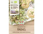 Hornbach Keimsprossen Sperli Keimsprossen-Saat 'Radieschen'