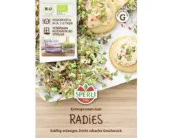 Keimsprossen Sperli Keimsprossen-Saat 'Radieschen'