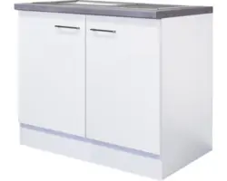 Spülenunterschrank Flex Well Varo weiß 100x86x60 cm mit Drehtür und Spüle