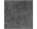 Hornbach Feinsteinzeug Bodenfliese Vega 30,7x30,7 cm anthrazit
