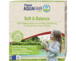 Hornbach Poolchemie AquaFair Stabilisiert der Wasserhärte 4 kg