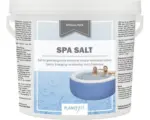 Hornbach Poolchemie Planet Spa Salt 2kg