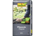 Hornbach Pflanzerde mit Pflanzenkohle torffrei FloraSelf Nature 40 L