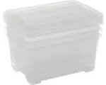 Hornbach Kunststoffbox DIRK XS mit Deckel 3er Set