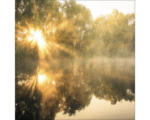 Hornbach Glasbild Sun At The Pond 20x20 cm