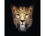 Hornbach Glasbild Leopard Illustration 20x20 cm