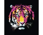 Hornbach Glasbild Colored Tiger 30x30 cm