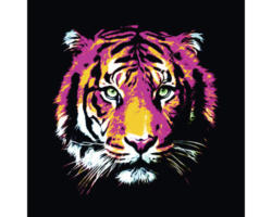 Glasbild Colored Tiger 50x50 cm