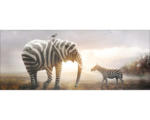 Hornbach Glasbild Striped Animal Meeting 125x50 cm