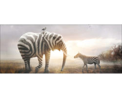 Glasbild Striped Animal Meeting 125x50 cm