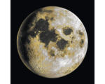 Hornbach Glasbild Backside of the Moon 20x20 cm