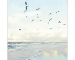 Glasbild Seagulls On The Beach 20x20 cm