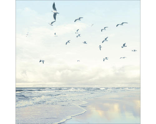 Glasbild Seagulls On The Beach 20x20 cm