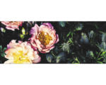 Hornbach Glasbild Baroque Peonies II 125x50 cm