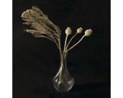 Glasbild Dark Floral Still Life 50x50 cm