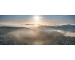 Glasbild Far View Over The Forest 80x30 cm