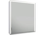 Hornbach LED-Spiegelschrank Keuco Royal Lumos rechts 1-türig 65x16,5x73,5 cm silber