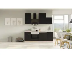 Küchenblock Flex Well Santo Anthrazit/San Remo Eiche hell 220 cm inkl. Einbaugeräte 11040